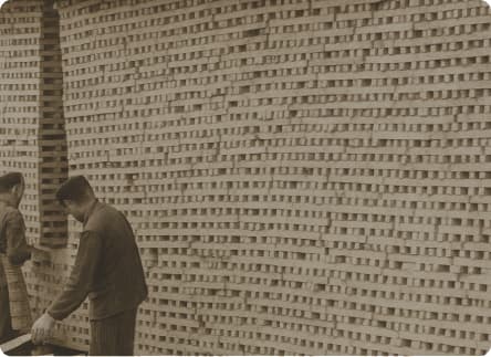 Wooden planks drying